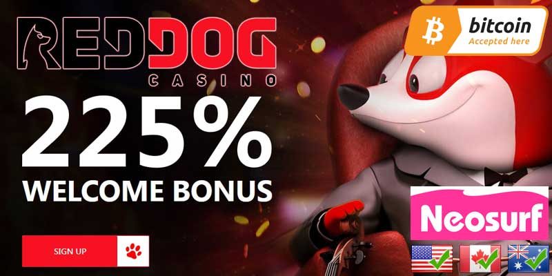 700+ No deposit Slots 2022 Rating 20, 29, 50, one hundred Totally free Spins!